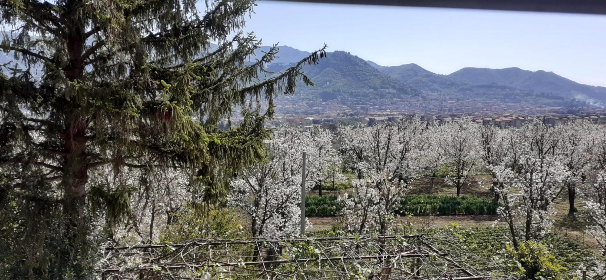 Willa Lanovella Cava deʼ Tirreni Zewnętrze zdjęcie